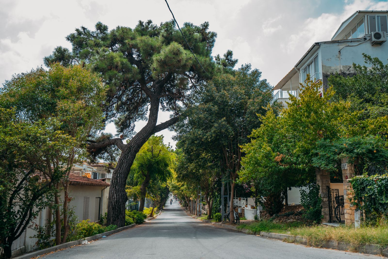 Tree-lined street near the Plano pickup point
